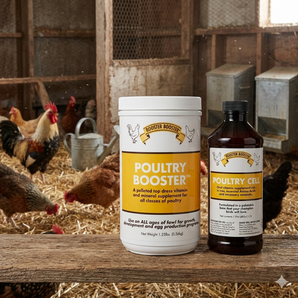 Rooster Booster Poultry Cell 16 oz + Poultry Booster 1.25 lb Poultry Care Bundle
