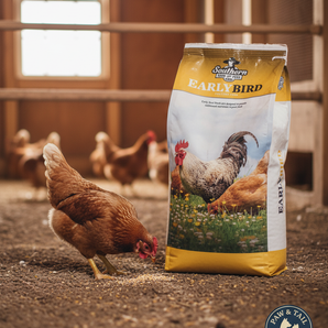 Southern Seed & Feed Chick Scratch Natural Grain Mix for Healthy Adult Poultry 50lbs.
