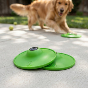 Soothing Saucer Dog Anxiety Relief Toy Licking Dispenser Stress Calming Patented 2-Pack