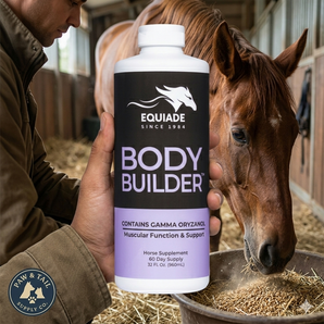 Equiade Body Builder Oil Supplement 32 oz. Coat Shine & Muscle Support for Animals