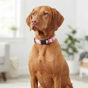Guardian Gear Camo Dog Collar Pink Medium/Large 14"-20" Neck 2-Pack
