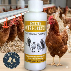Poultry Nutri-Drench Nutrition Supplement 4 oz. Liquid Vitamins for Poultry
