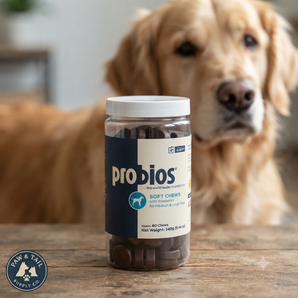 Probios Probiotic Soft Chews for Medium & Large Dogs Chicken Liver 60 Count