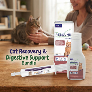 Cat Recovery & Digestive Support Bundle – Virbac Rebound + Digi-Eaze Probiotic Paste