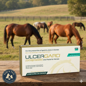 Merial Ulcergard (Omeprazole) Oral Paste for Horses 6.15g Each 6-Pack