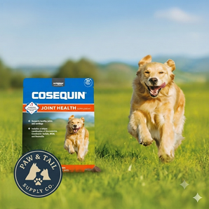 Nutramax Cosequin DS Plus MSM Professional Line Dog Soft Chews 60ct Joint Support