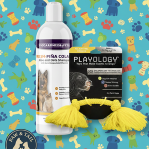 Piccardmeds4pets Piña Colada Pet Shampoo 16oz + Playology Dri-Tech Rope Toy Combo