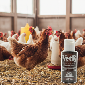 VetRx Poultry 2 oz. for the Relief and Prevention Poultry Health 2-Pack