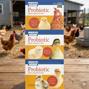 Chicken Adult Bird Sav-a-chick Probiotic Digestive Health Supplement Poultry 3pck