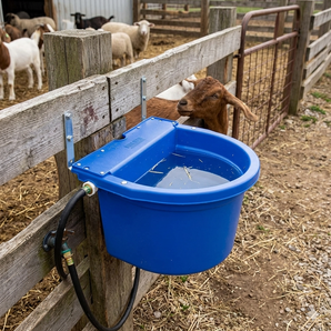 Little Giant Automatic Animal Waterer Blue 4 Gallon Float Controlled Livestock 2PCK
