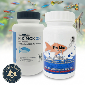 Fish Mox 250mg Capsules – Bacterial Infection Treatment for Fish (Fin Rot & Dropsy) – Paw and Tail Supply