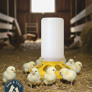 Little Giant 1 Qt Plastic Chick Feeder Jar & Base Set Yellow Baby Poultry