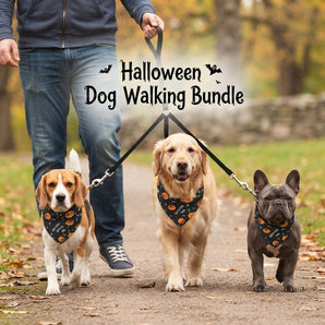 Halloween Walking Bundle Three Small Dogs 3 Aria Howl-O-Ween Bandanas and Guardian Gear 3-Way Coupler