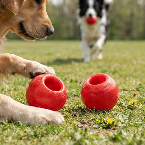 SPOT Play Strong Rubber Ball Dog Chew Toy Medium Interactive Treat Toy 2-Pack