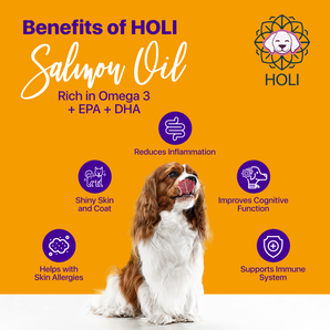 HOLI Icelandic Salmon Oil for Dogs | Extra Virgin