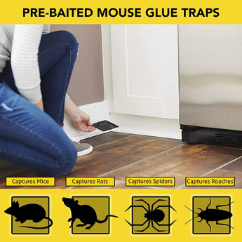 Harris Pre-Baited Mouse Glue Traps, Fully Disposable 4-Pack Harris