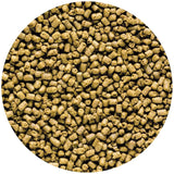 Hikari Saki-Hikari Marine Carnivore MD Sinking Pellets Fish Food Hikari