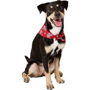 All-American Walking Bundle for Three Small Dogs Patriotic Dog Bandana and Guardian Gear 3-Way Coupler