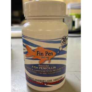 Fin Pen Penicillin 250mg 30 caps