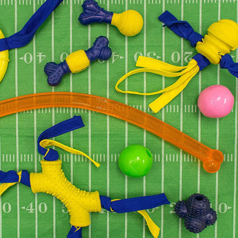 Nylabone Power Play Fetch-A-Bounce Interactive Dog Toy, 5-Inch Nylabone