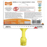 Nylabone Puppy Power Axis Bone Nylon Chew Toy Vanilla Flavor, Reg Nylabone