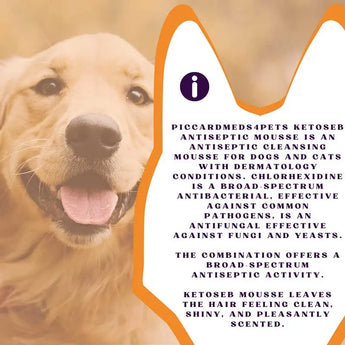 Piccardmeds4pets Keto-Seb Antiseptic Mousse Cats & Dogs 7 oz. Piccard Meds 4 Pets