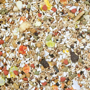 Higgins Safflower Gold Conure & Cockatiel Bird Food 3lbs. 2-Pack
