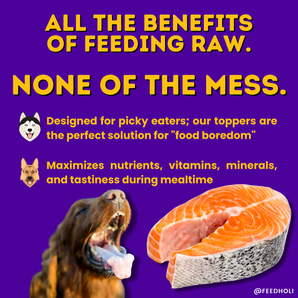 Wild Caught Salmon Dog Food Topper - Freeze Dried - Single Ingredient