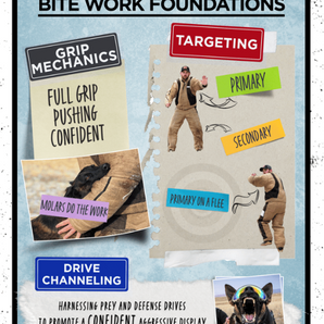 Decoy Elements - Professional Bite Work Training Course