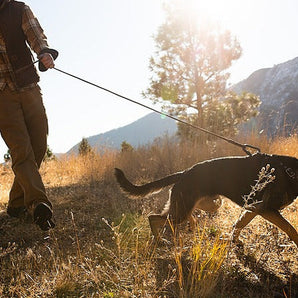 Tracking: Freedom to Hunt Style