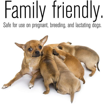 ZoGuard Plus Flea and Tick Drops for LG Dog 3 Months 45-88 lbs. ZoGuard