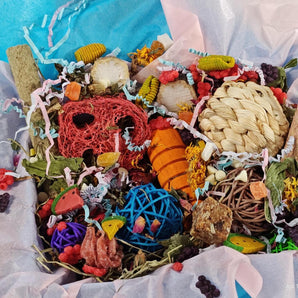 Play & Chew Rodent Fun  "No More Boredom" Box - Rats, Mice, Gerbils, Hamsters...