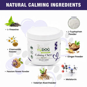 Tranquil Haven Calming Chews