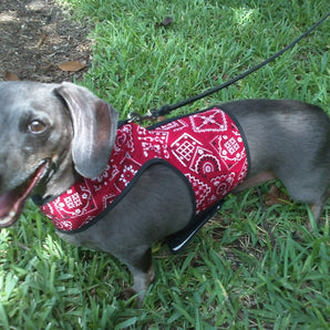 Doggy Holster Small Dog Harness (Made in USA)