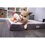 goDog Checkers Skinny Rooster Dog Toy w/Chew Guard Technology goDog