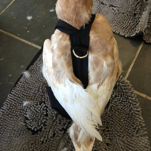 Hen Holster Duck Diaper Goose Diaper Removable Liners