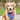 Top Performance American Denim Bandana for Dogs 3-Pack