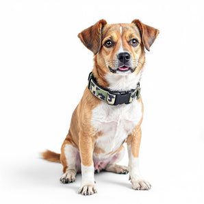 Guardian Gear Camo Dog Collar Durable Nylon Quick Release Buckle Green