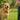 OmniPet British Rope Slip Lead 6ft Orange Dog Training Leash USA Made
