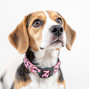 Guardian Gear Camo Dog Collar Neck Durable Nylon Quick Release Buckle Pink