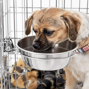 OmniPet Stainless Steel Coop Cup Food or Water Bowl for Pet 20oz.