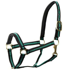 Horse Jeffers Padded Nylon Horse Halter Throat Snap