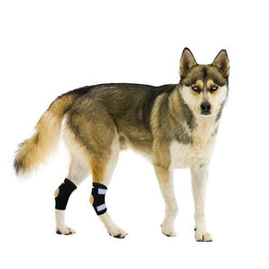 NeoAlly Rear Leg Hock Brace - Metal Spring Strips for Small Dogs [Short Version] (Pair)