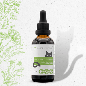 Lion's Blood Pressure - Healthy Blood Pressure Support in Cats