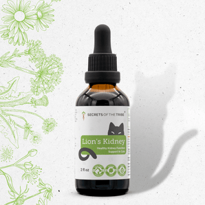 Lion's Kidney - Healthy Kidney Function Support in Cats