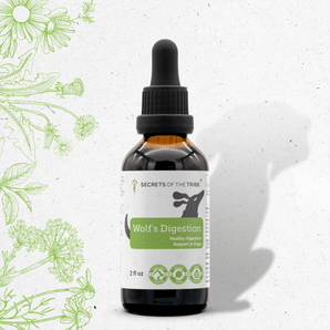 Wolf's Digestion - Healthy Digestion Support in Dogs