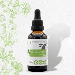 Wolf's Immune Boost - Healthy Immunity Support in Dogs