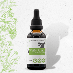 Wolf's Joints - Healthy Joint Support in Dogs
