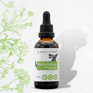 Wolf's Kidney - Healthy Kidney Function Support in Dogs