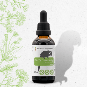 Bird's Immunity - Healthy Immunity Support in Birds